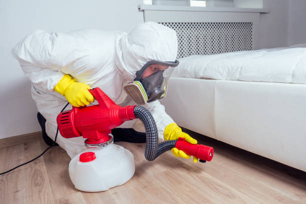 Best Residential Pest Control  in Ore City, TX
