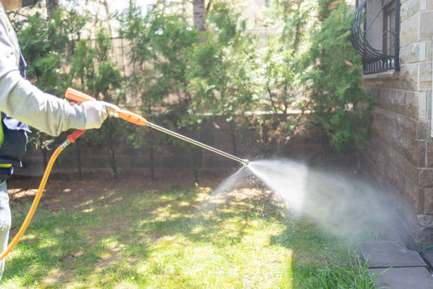 Pest Control for Restaurants in Ore City, TX