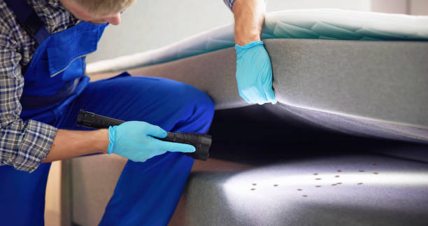 Wasp Removal Services in Ore City, TX