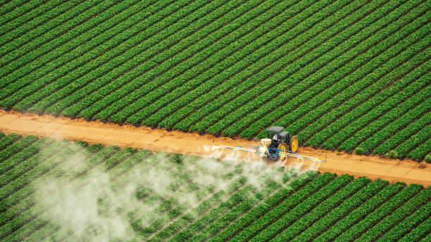 Best Mosquito Control Services  in Ore City, TX