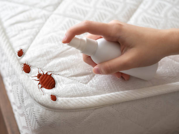 Best Pest Control for Restaurants  in Ore City, TX