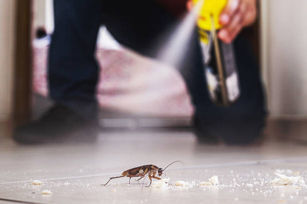 Best Commercial Pest Control Services  in Ore City, TX