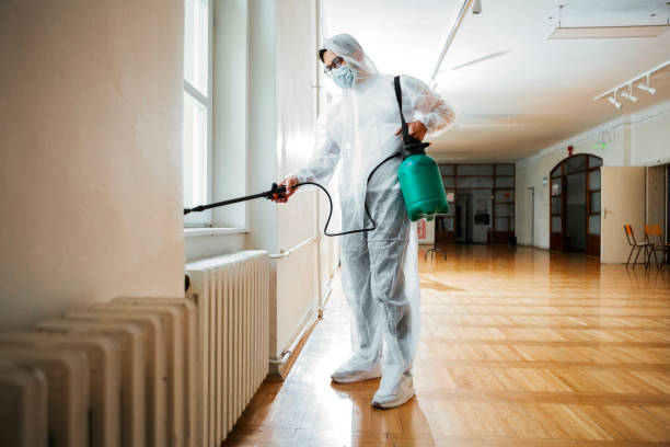 Best Termite Control Services  in Ore City, TX